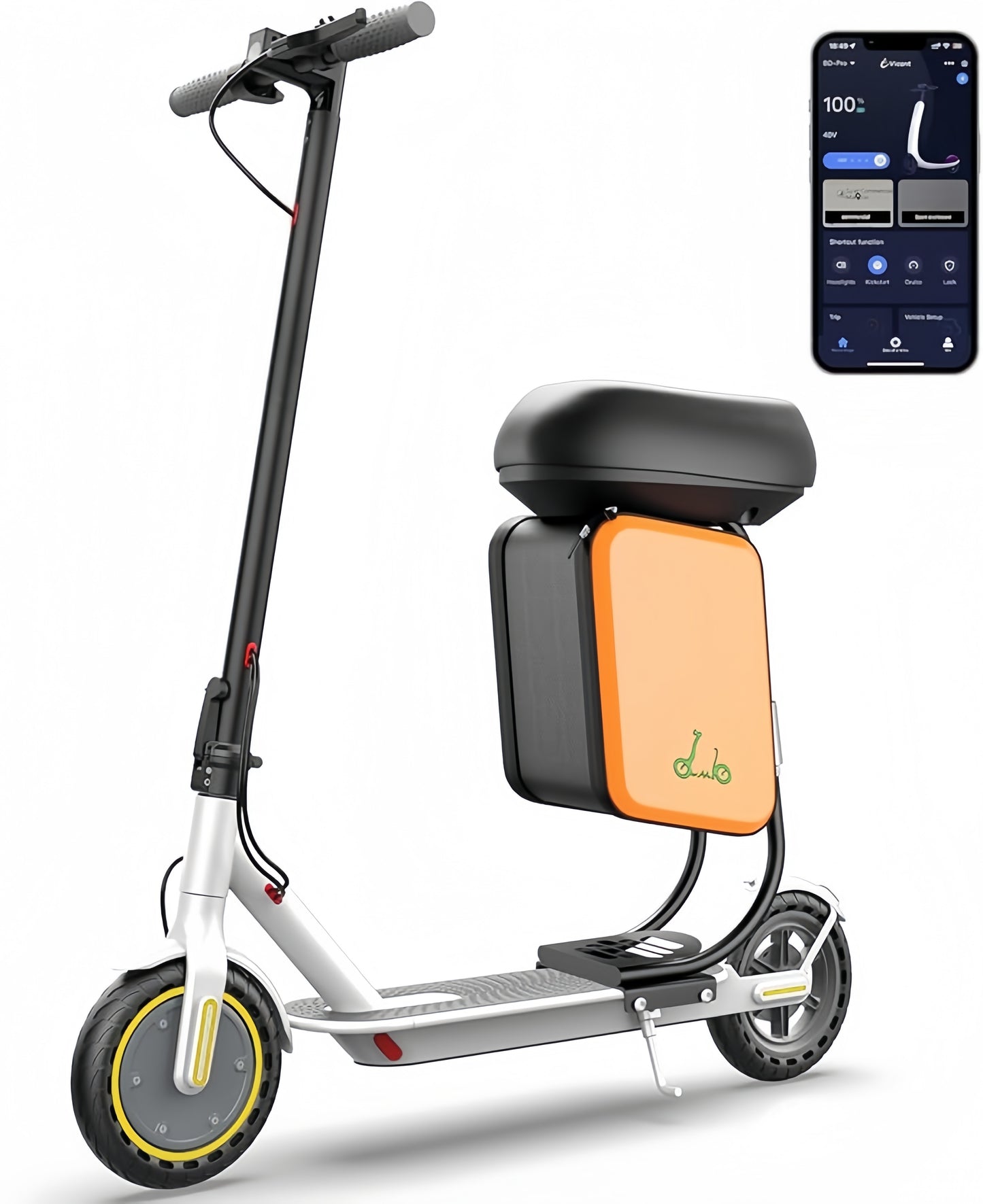 Adult E-Scooter